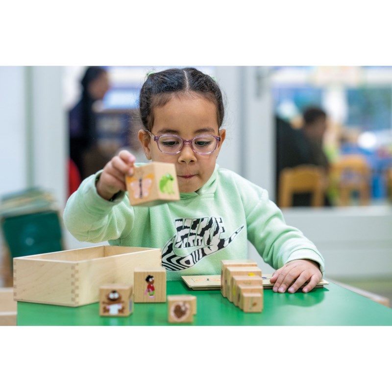 Life cycle blocks - קוביות מחזור החיים