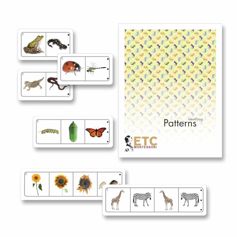 Looking For Patterns In Life Science