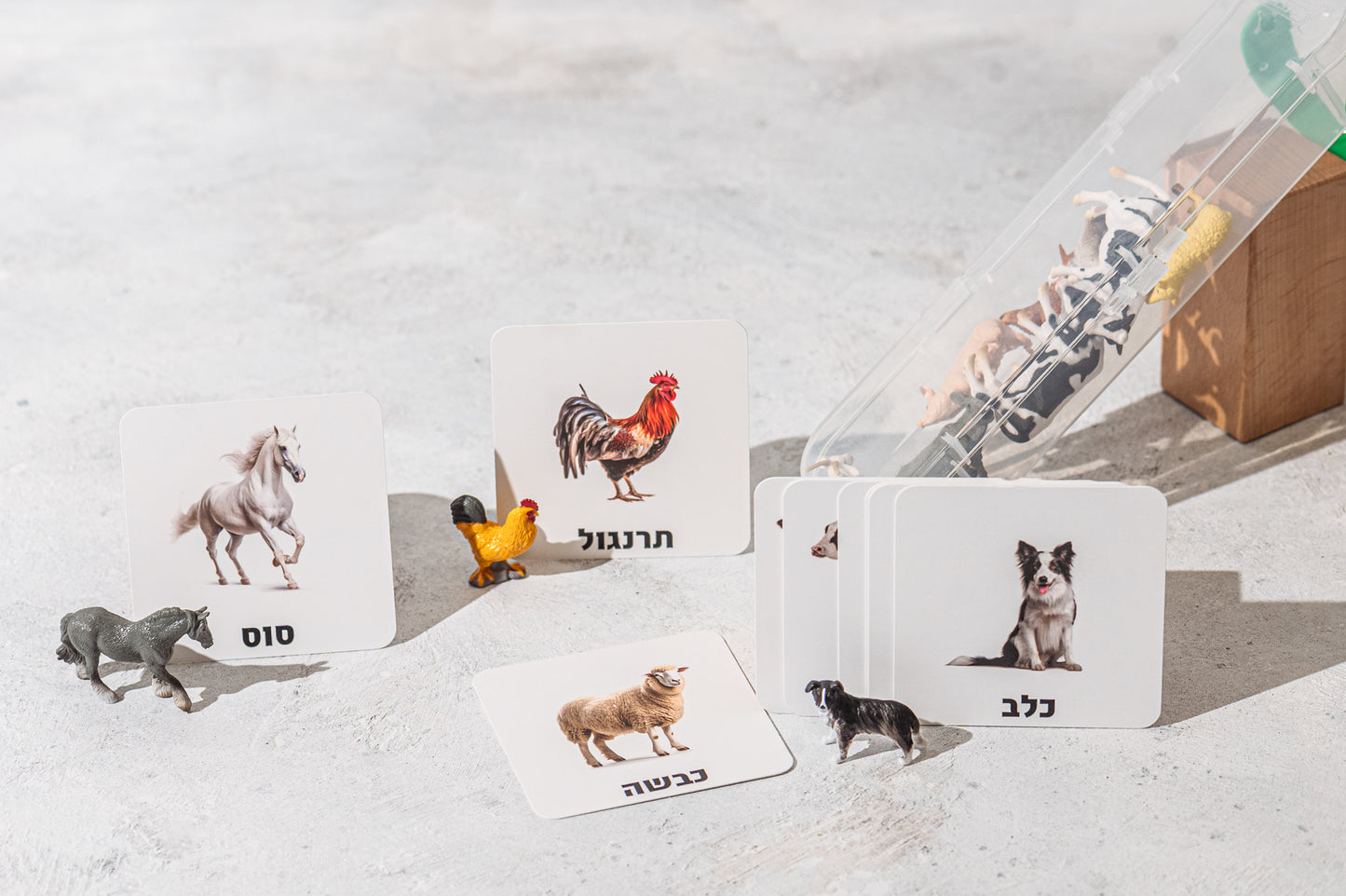 עולם החי מארז - חיות חווה (12 חיות) + מארז כרטיסיות