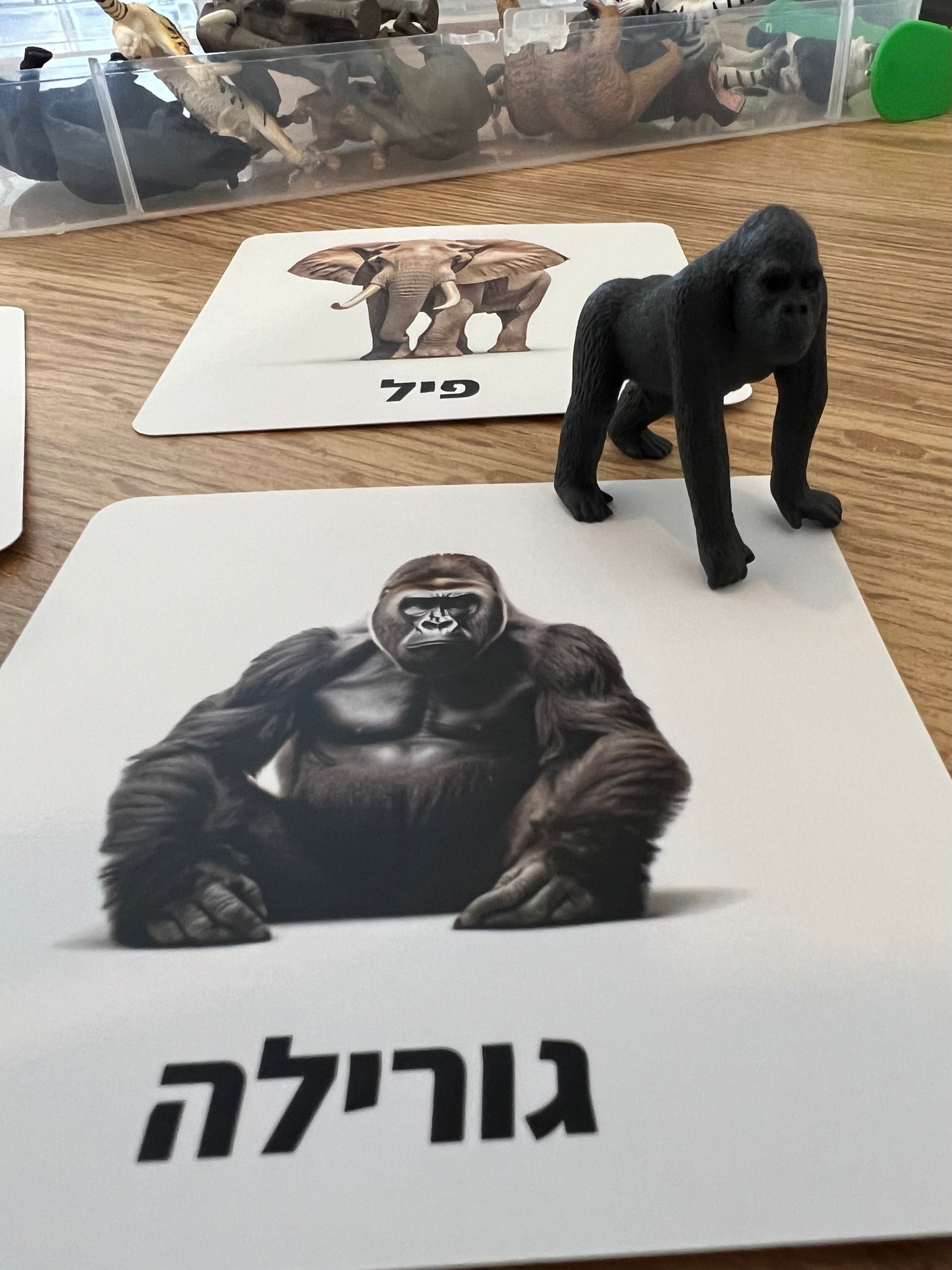 עולם החי מארז - חיות בר (12 חיות) + מארז כרטיסיות