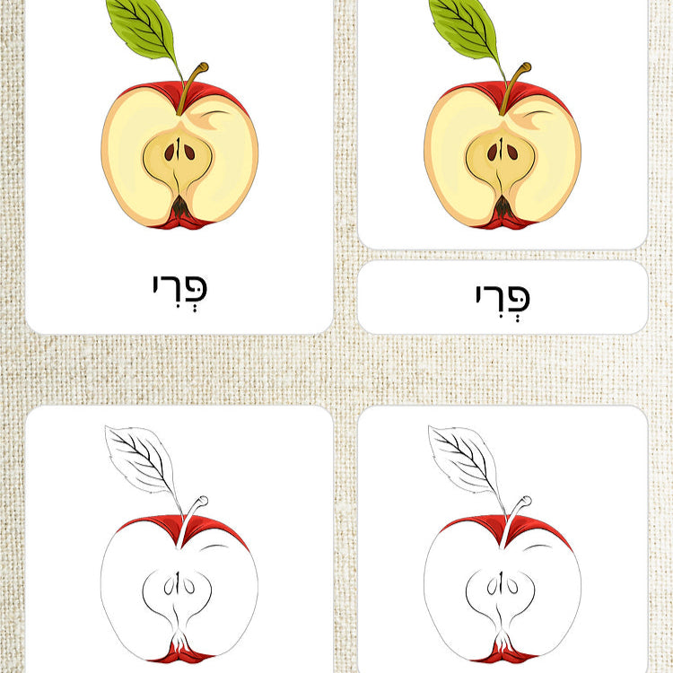 כרטיסיות בשלושה חלקים - חלקי הפרי