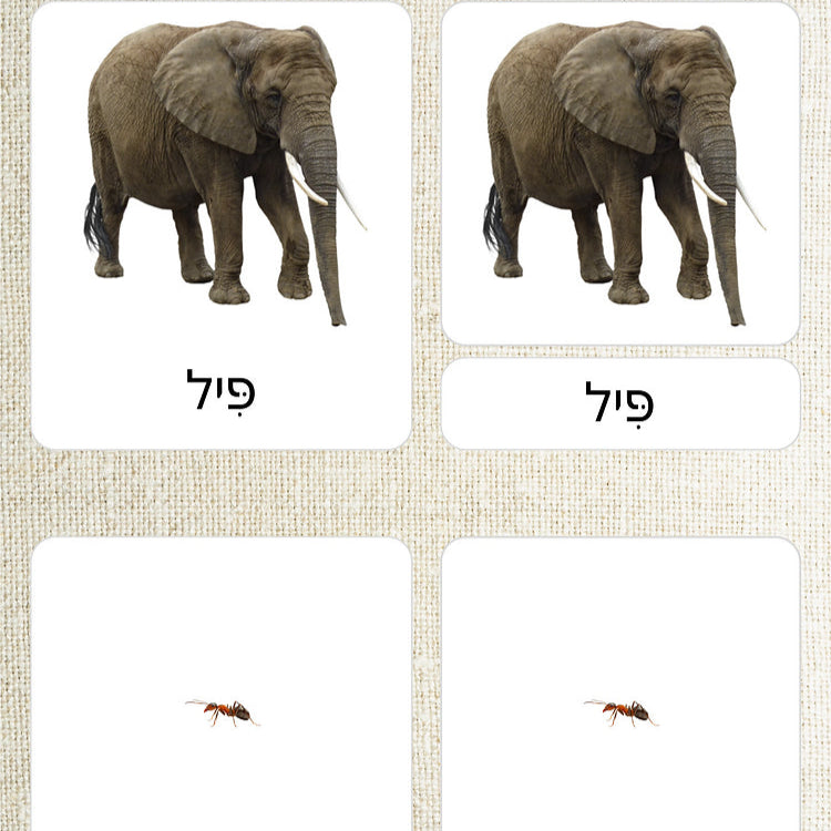כרטיסיות בשלושה חלקים - בעלי חיים