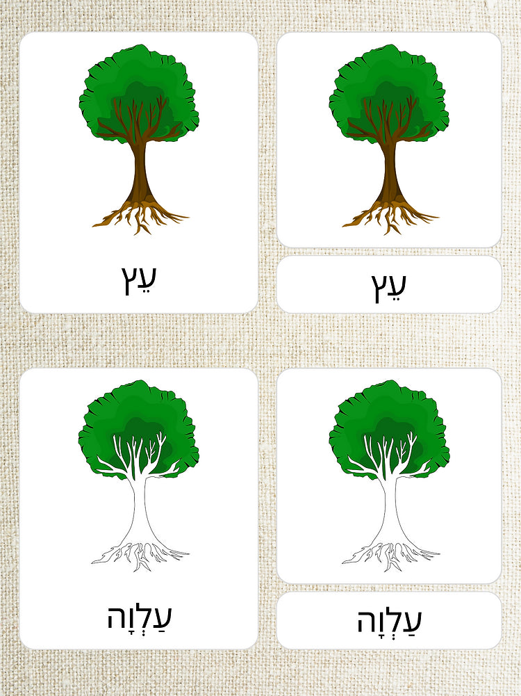 כרטיסיות בשלושה חלקים - חלקי העץ