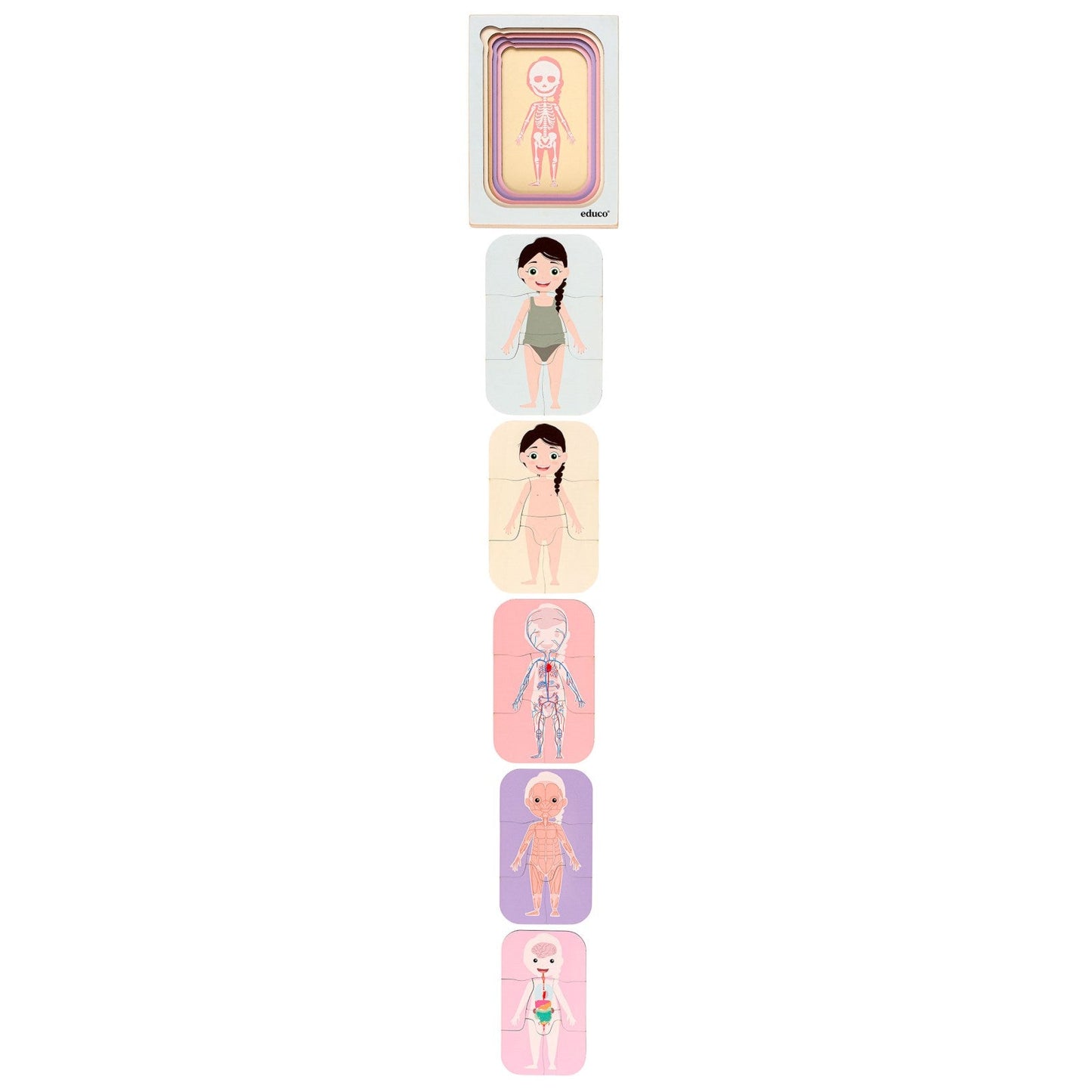 Layerpuzzle - human body - פאזל שכבות – חלקי גוף הילד/ה