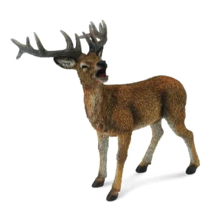 חיות בר- אייל אדמוני (L) - Elementessori