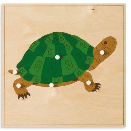 Animal Puzzle: Turtle - חלקים בודדים של פאזל חלקי הצב - מציאון