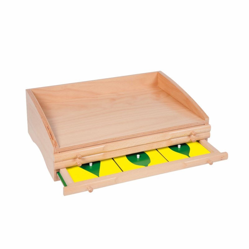 Botany Cabinet - ערכת בוטניקה מלאה - Elementessori