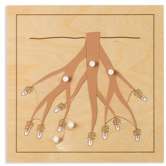 Animal Puzzle: Root -  פאזל חלקי השורש - מציאון