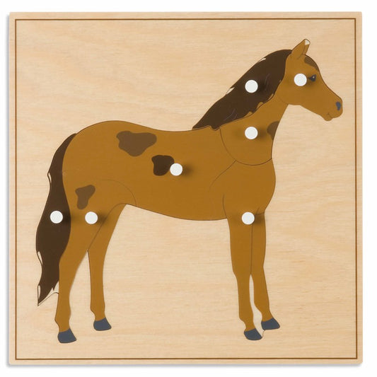 Animal Puzzle: Horse - חלקים בודדים של פאזל חלקי הסוס - מציאון