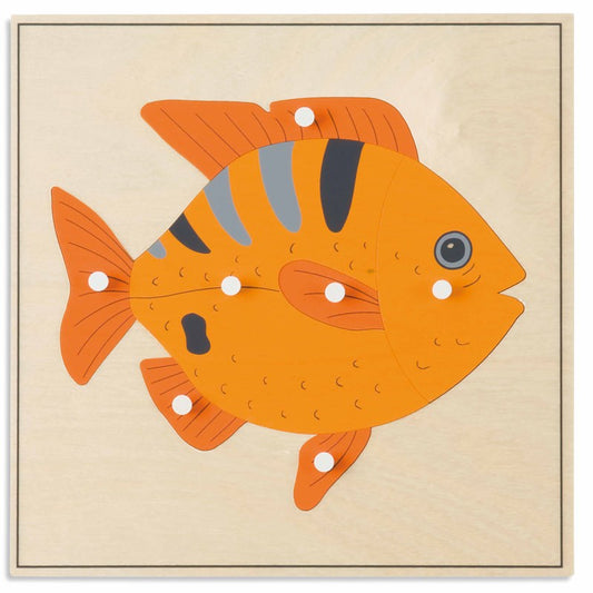 Animal Puzzle: Fish -  פאזל חלקי הדג - מציאון
