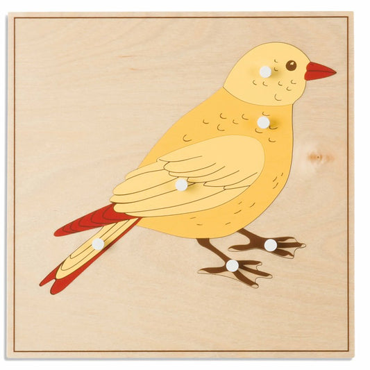 Animal Puzzle: Bird - חלקים בודדים של פאזל חלקי הציפור - מציאון