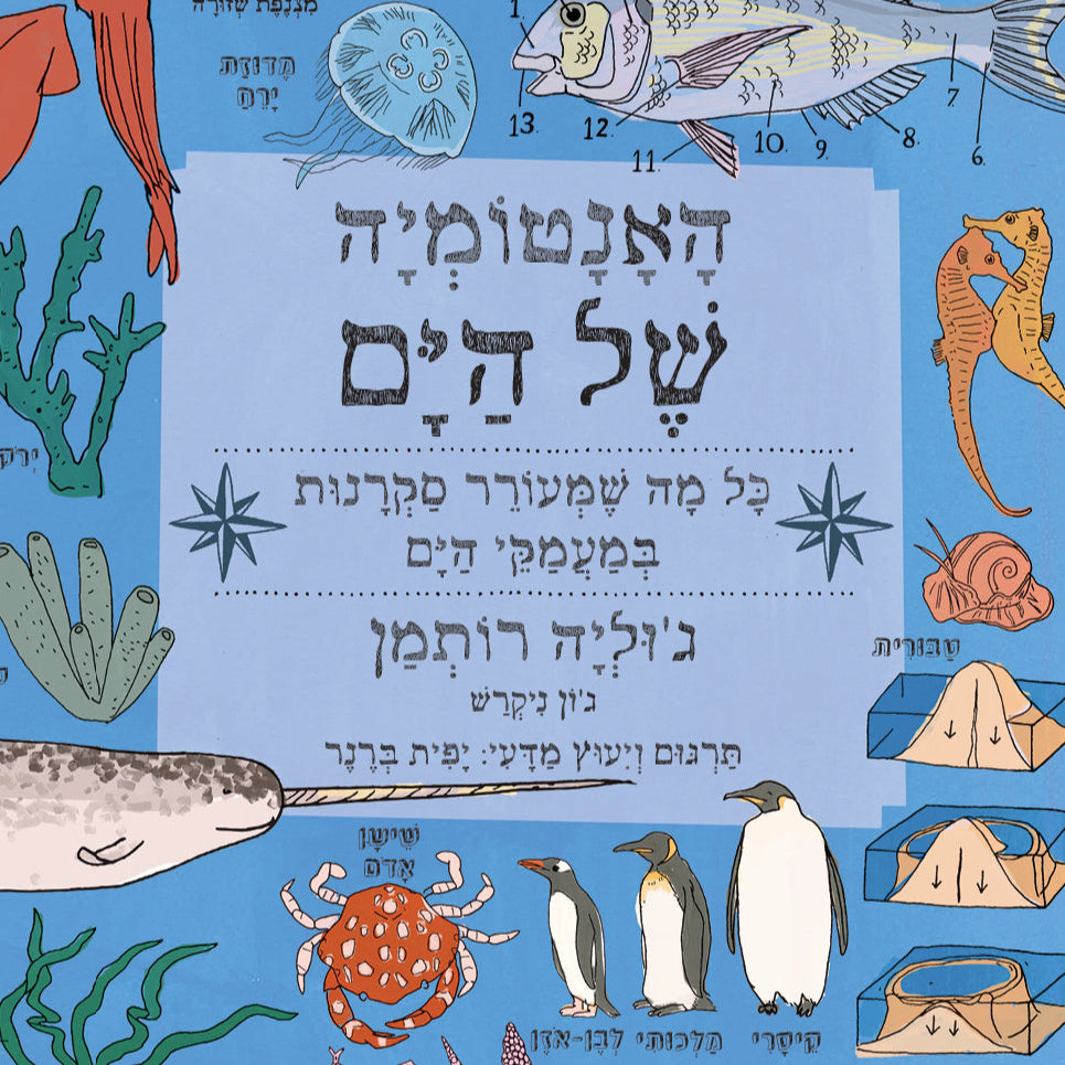 האנטומיה של הים