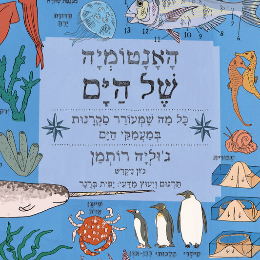 האנטומיה של הים