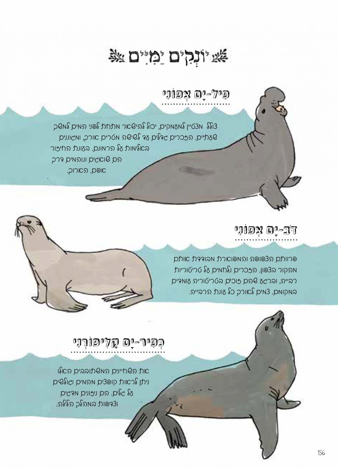 האנטומיה של הטבע