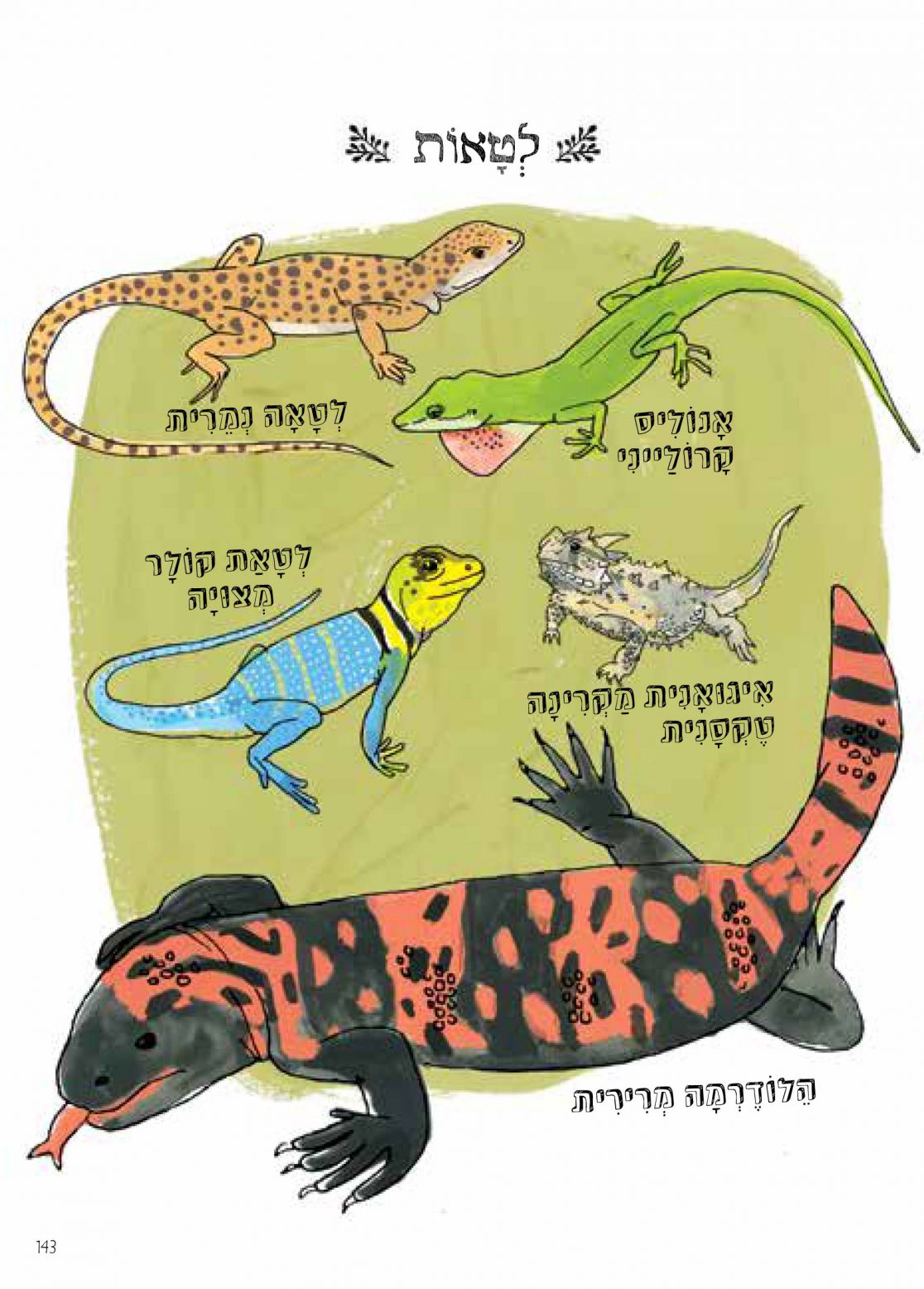 האנטומיה של הטבע