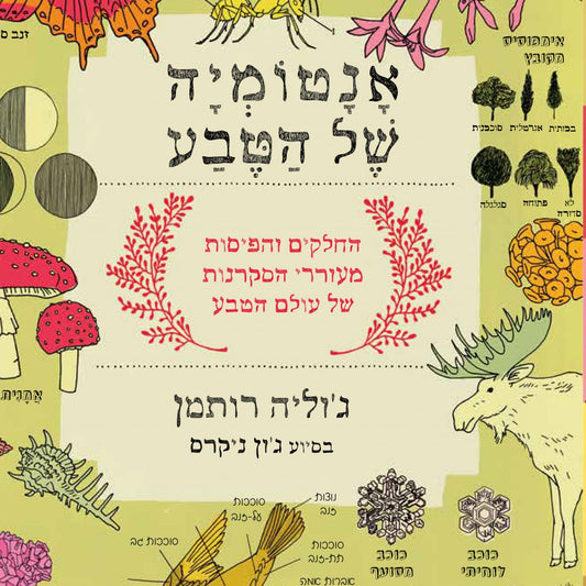 האנטומיה של הטבע