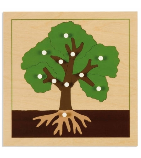 Botany Puzzle: Tree - פאזל חלקי העץ -    Elementessori