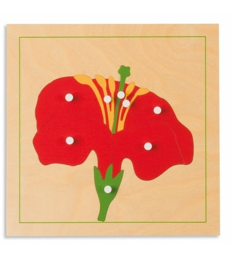 Botany Puzzle: Flower - פאזל חלקי הפרח -    Elementessori