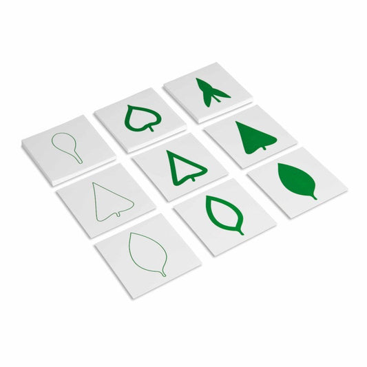 Leaf Cards -   סט כרטיסיות לימוד חלקי העלה וארונית ייעודית -    Elementessori