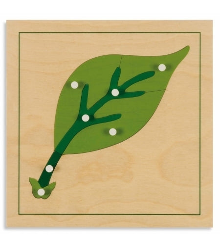 Botany Puzzle: Leaf - פאזל חלקי העלה -    Elementessori